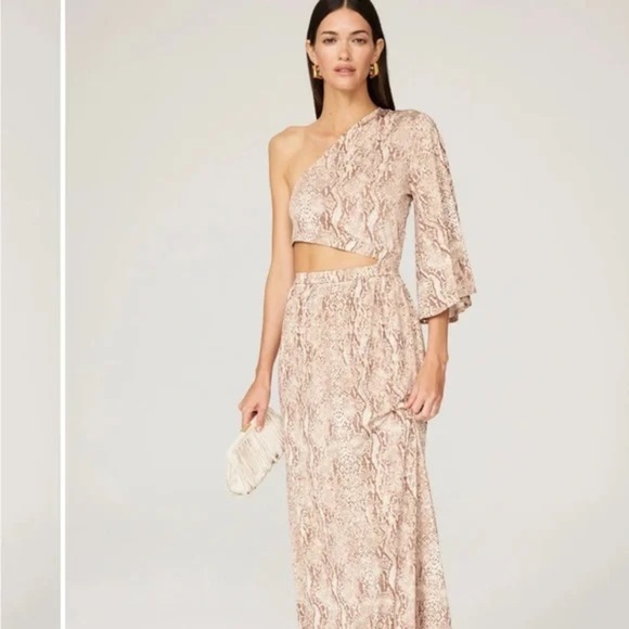 L'AGENCE Dresses & Skirts - L’Agence Fontana One-Shoulder Snake Print Maxi Dress  | Revolve, Zimmermann